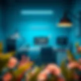 Optimal Workspace for Self-Employment Workspace setup for self-employed individuals