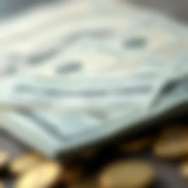 Visual representation of IRA contributions