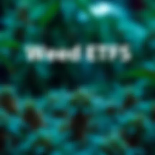 Exploring Weed ETFs: A Comprehensive Analysis of Stock Investment in the Cannabis Sector Introduction Exploring Weed ETFs: A Comprehensive Analysis of Stock Investment in the Cannabis Sector Introduction