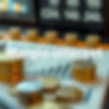 Conceptual depiction of margin interest calculation