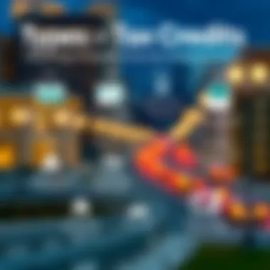 Types of Tax Credits Infographic illustrating various types of tax credits