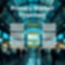 Conceptual representation of the primary market structure