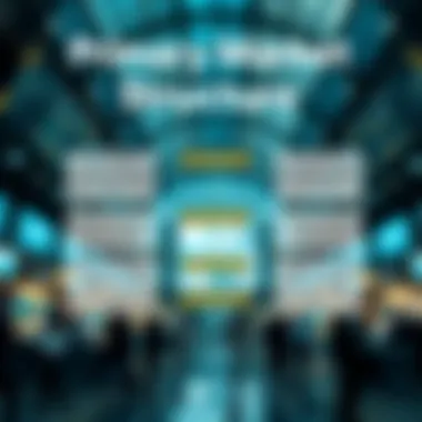 Conceptual representation of the primary market structure