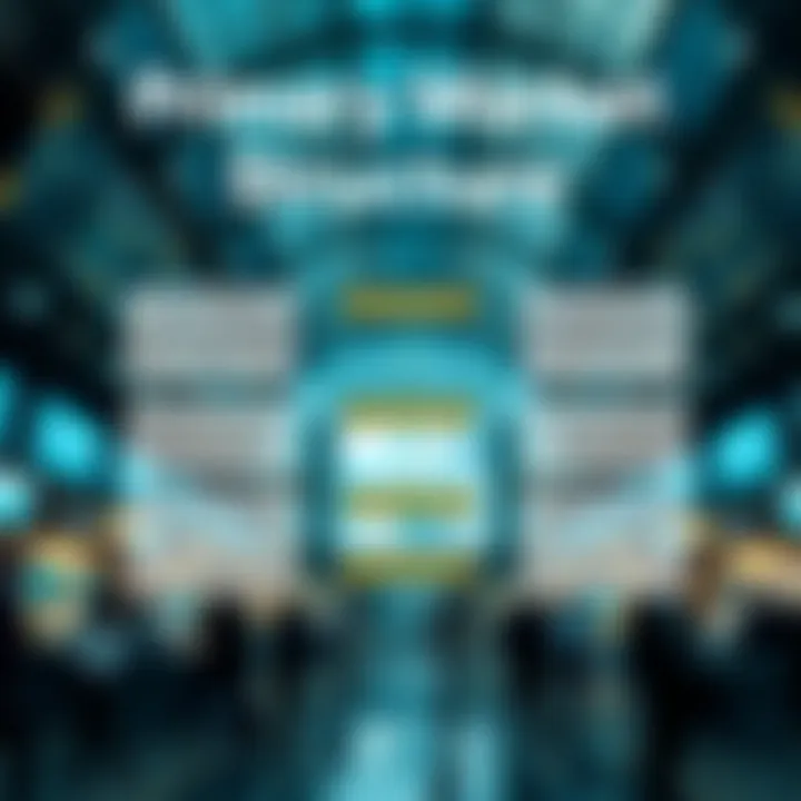 Conceptual representation of the primary market structure